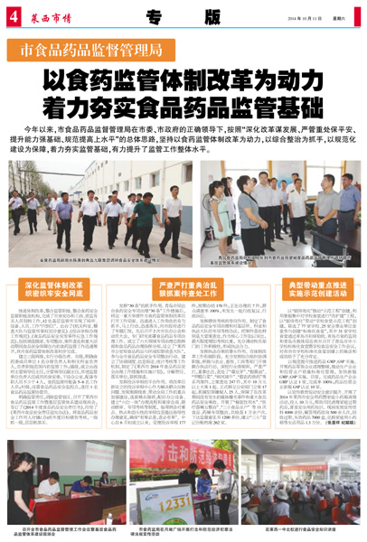 食药改革最新顶层动态，深度探讨与进展更新