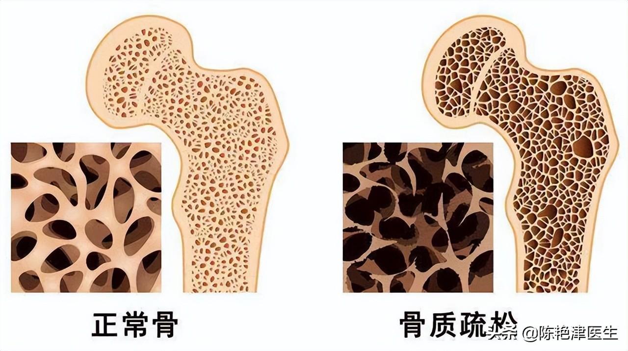 生意宝泛酸钙最新价格探讨与解析