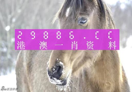 服务案例 第412页