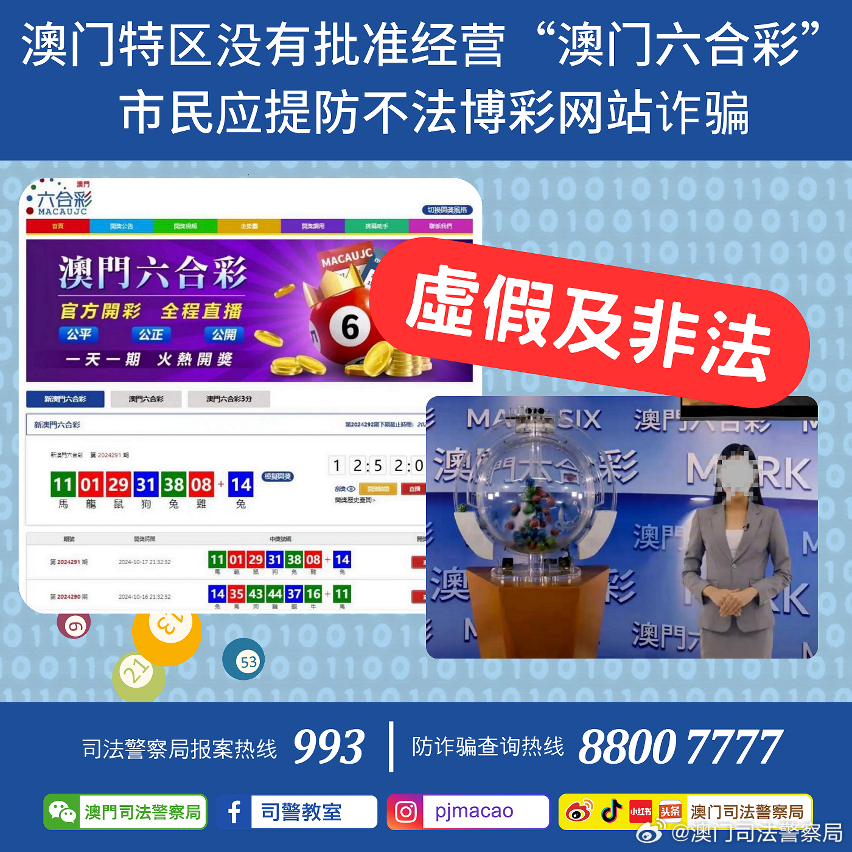 4949澳门免费资料内容资料,创新解释说法_探索版51.446