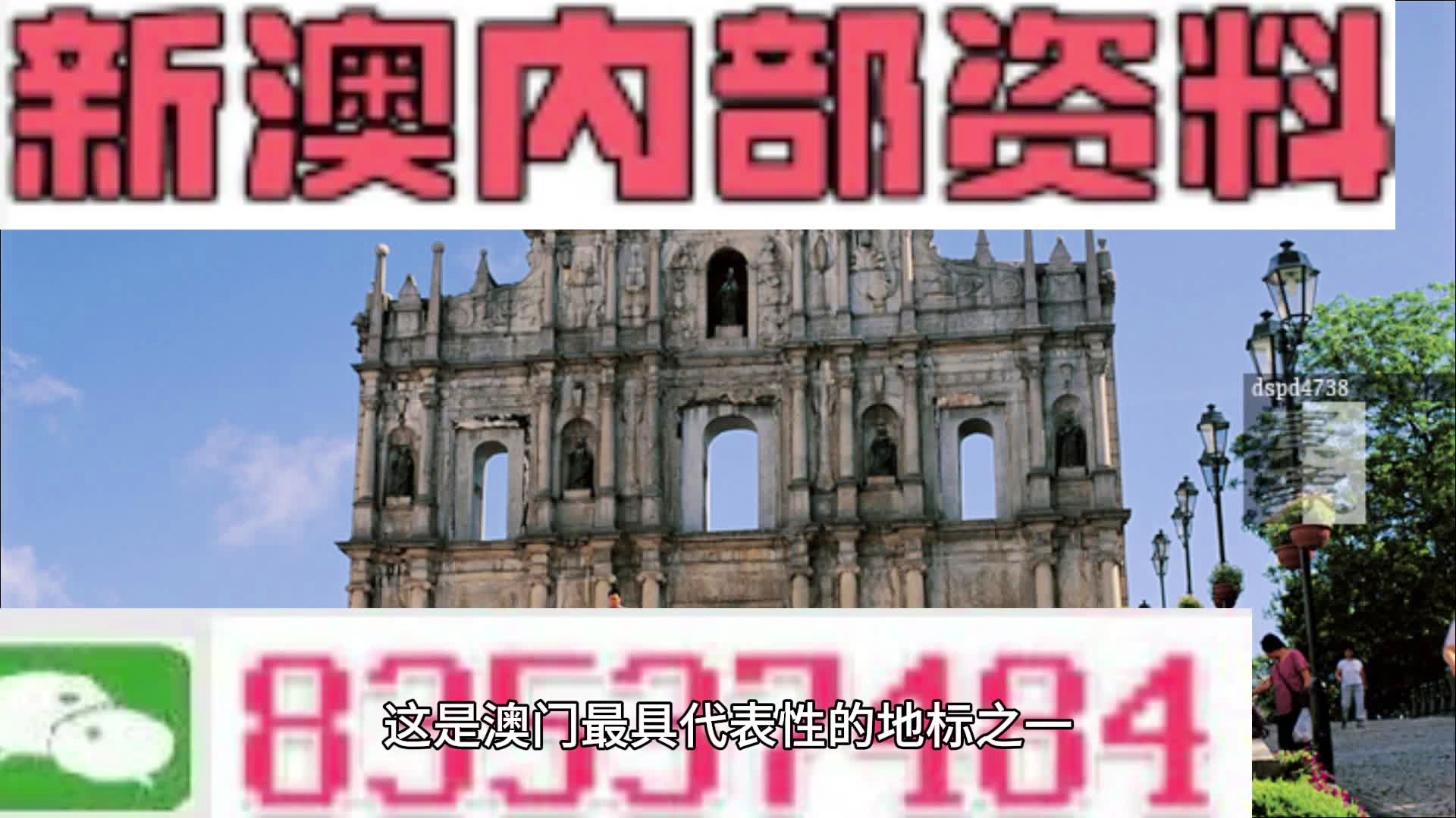 新澳门2024今晚开什么,全面信息解释定义_商务版51.846