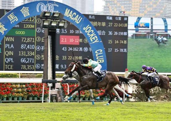 香港特马资料王中王,实地数据评估分析_多元文化版88.238