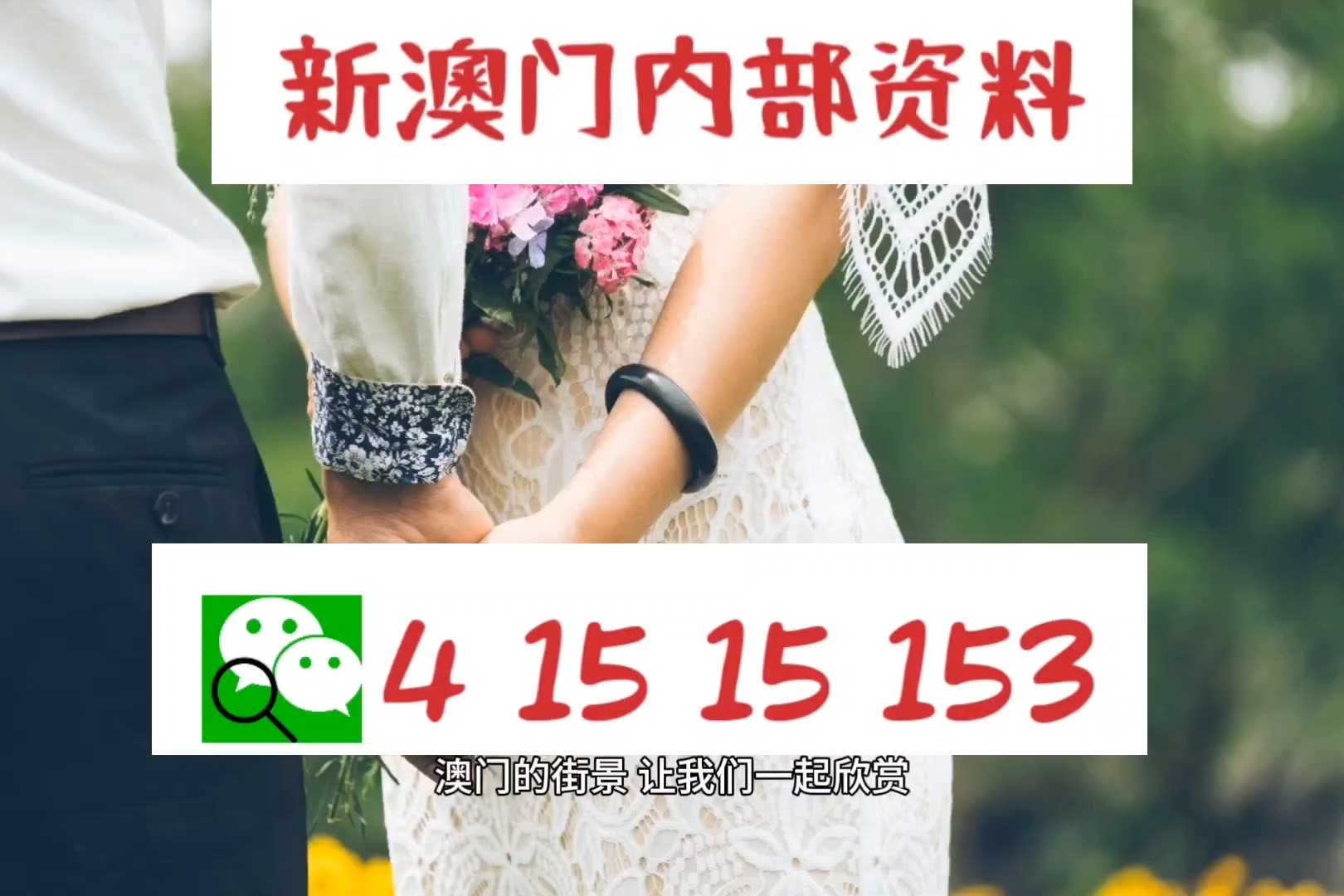 2024新澳门正版精准免费大全,司法考试全面解答_明星版85.720