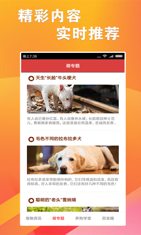 7777788888精准跑狗图正版,资源部署方案_多功能版82.519