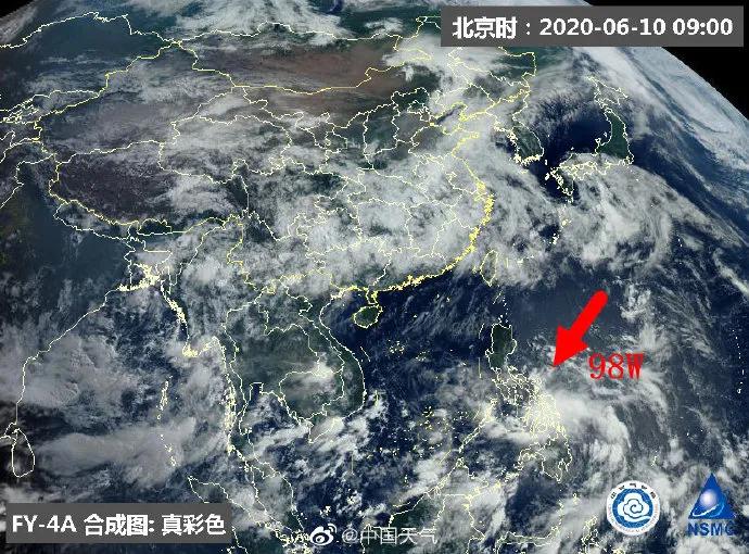 广西台风鹦鹉最新动态与小巷深处的独特风味探索之旅
