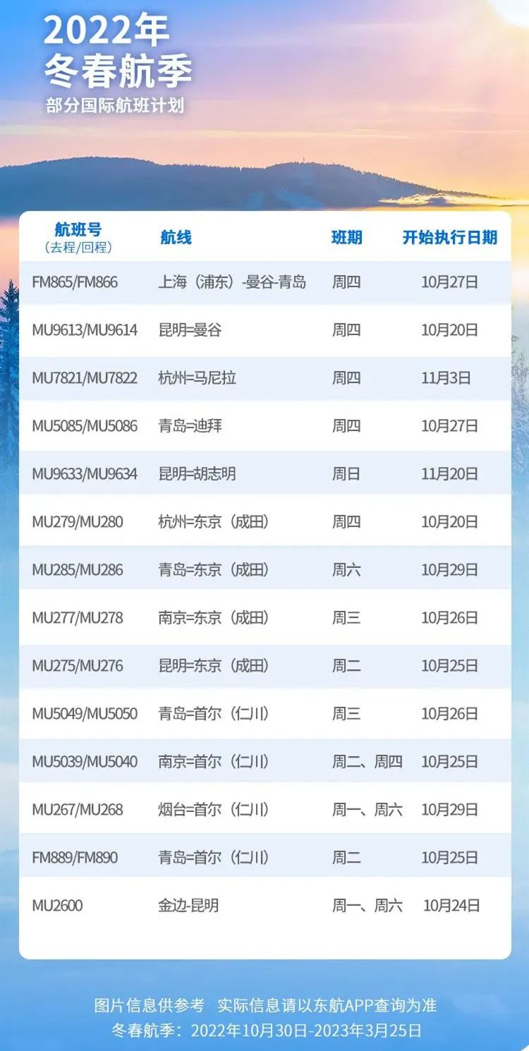 国际复航最新消息更新，航班恢复动态与最新政策解读