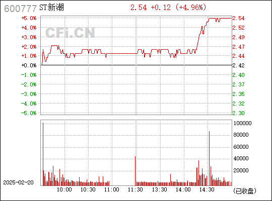 深度解析，投资者关注要点与600777新潮能源股票