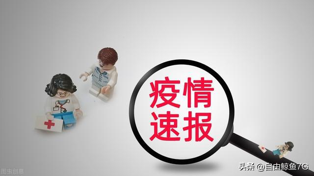 最新疫情动态，连续六日疫情概述