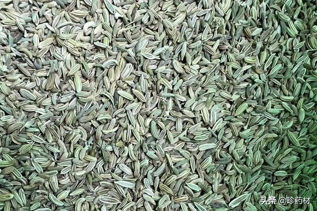 小茴香行情揭秘，巷弄深处的独特香气