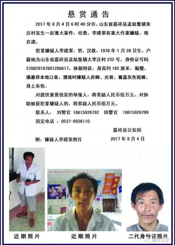 嘉祥杀人案最新动态，深度分析与观点阐述
