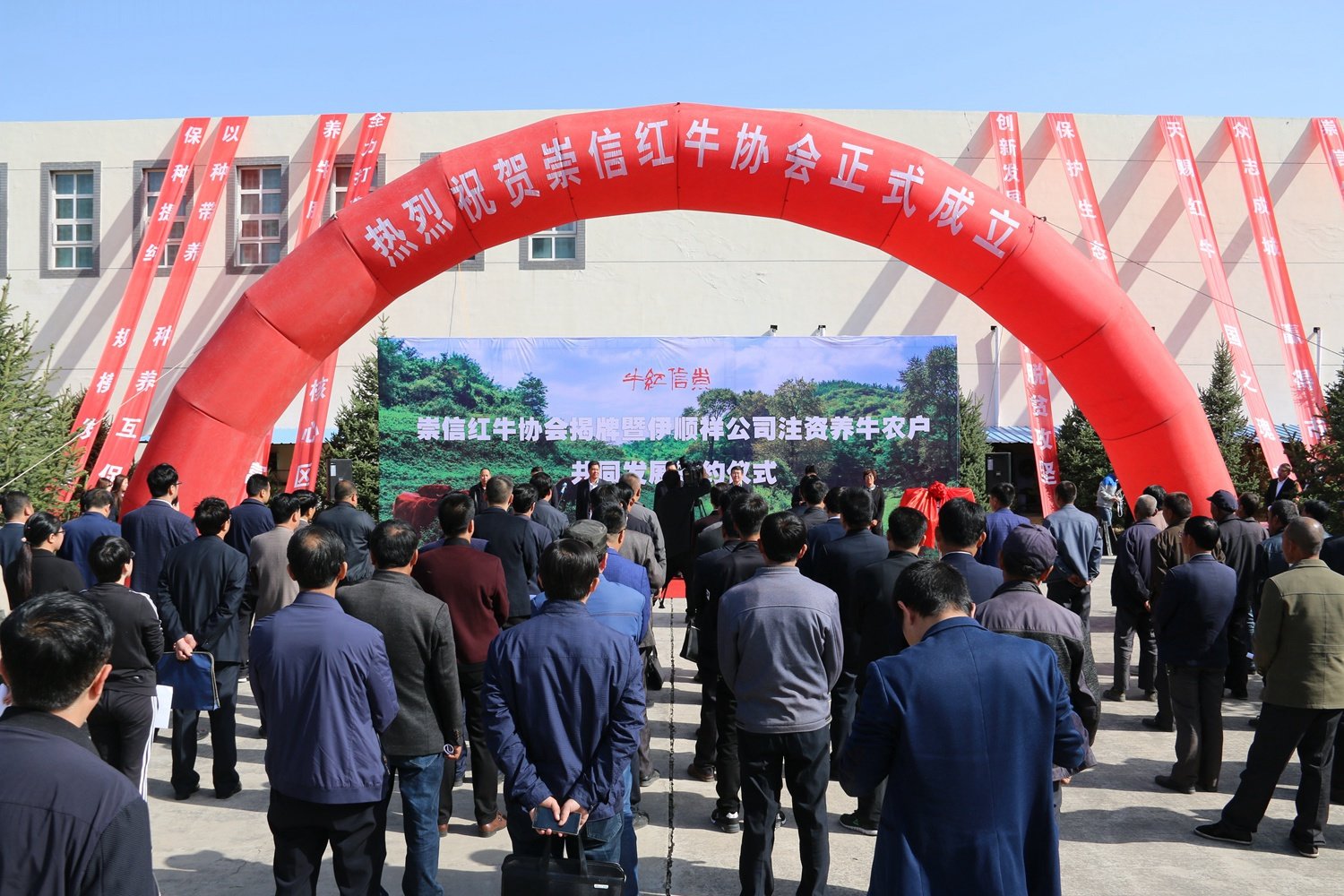 崇信县最新新闻，学习之光照亮未来，自信与成就感共舞新时代的进步之路