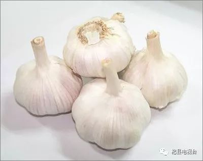 今日大蒜最新价格表，科技助力生活，大蒜价格实时掌握