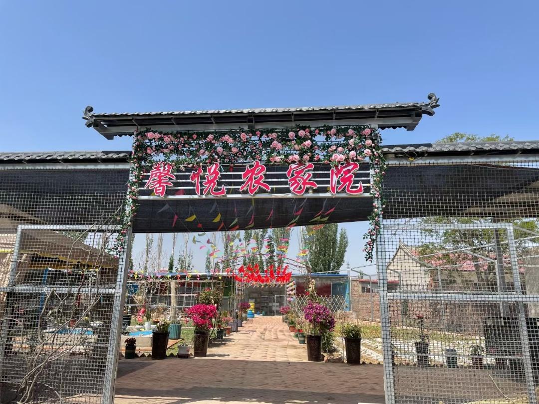 农家乐小老板，最新趋势与发展洞察揭秘