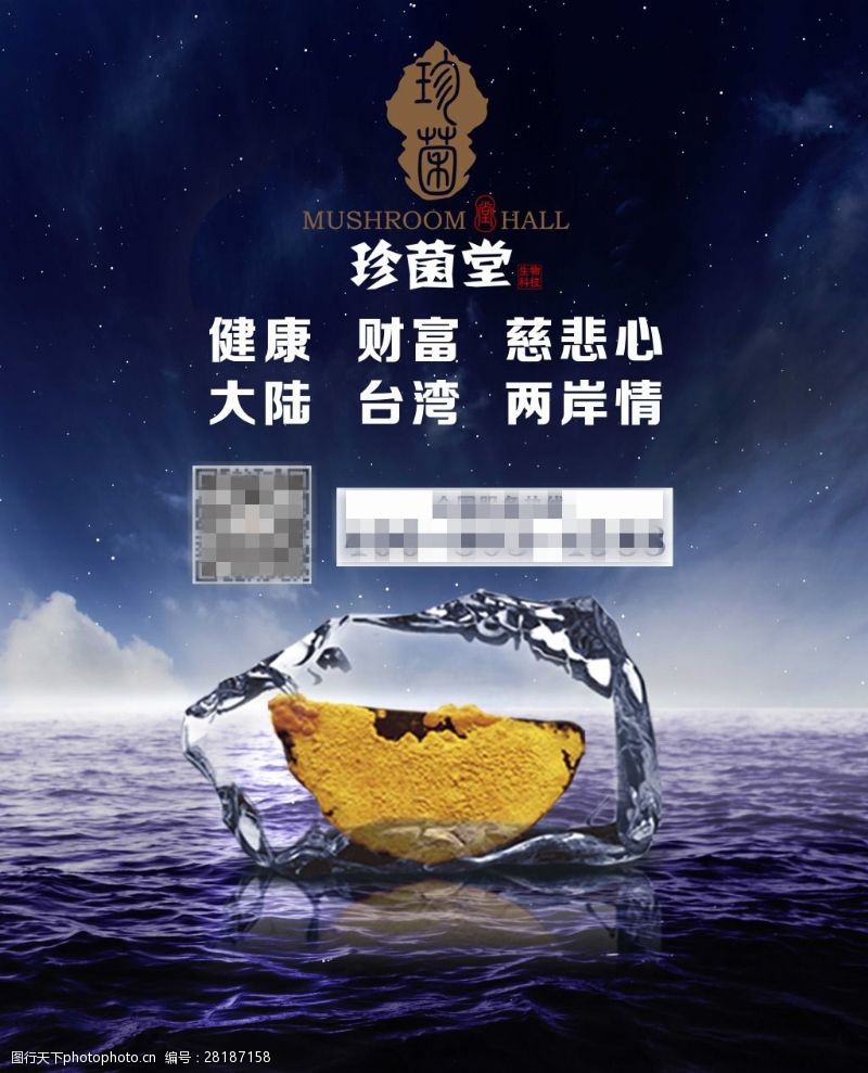 珍菌堂最新动态更新，最新情况一览