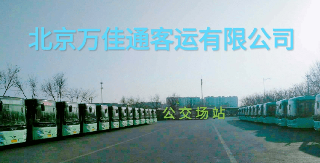 宁波客运驾驶员火热招聘，启程自然之旅！